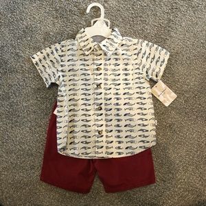 Tommy Bahama outfit